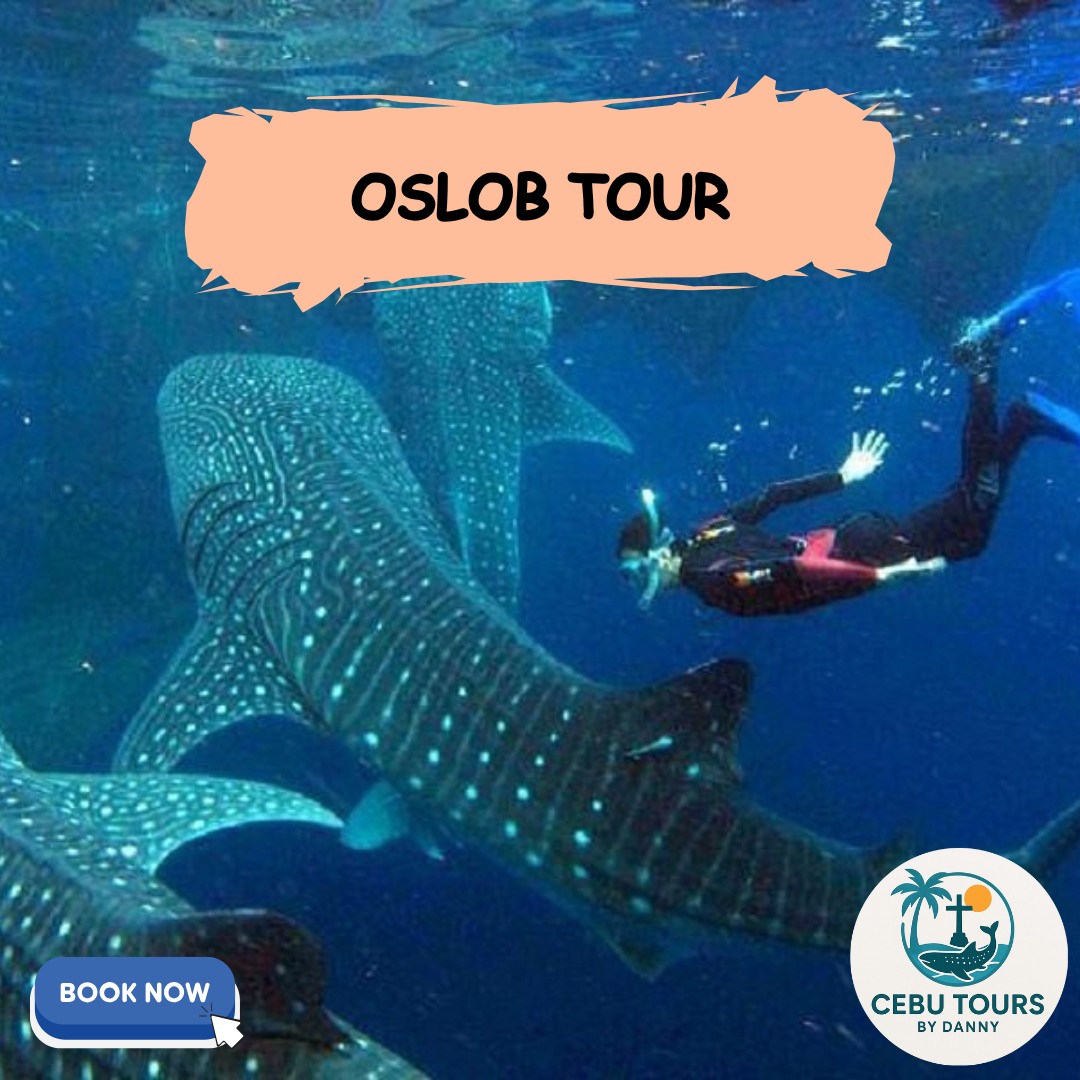 Oslob Simala Tour